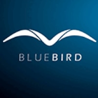 BLUEBIRD Consulting AG